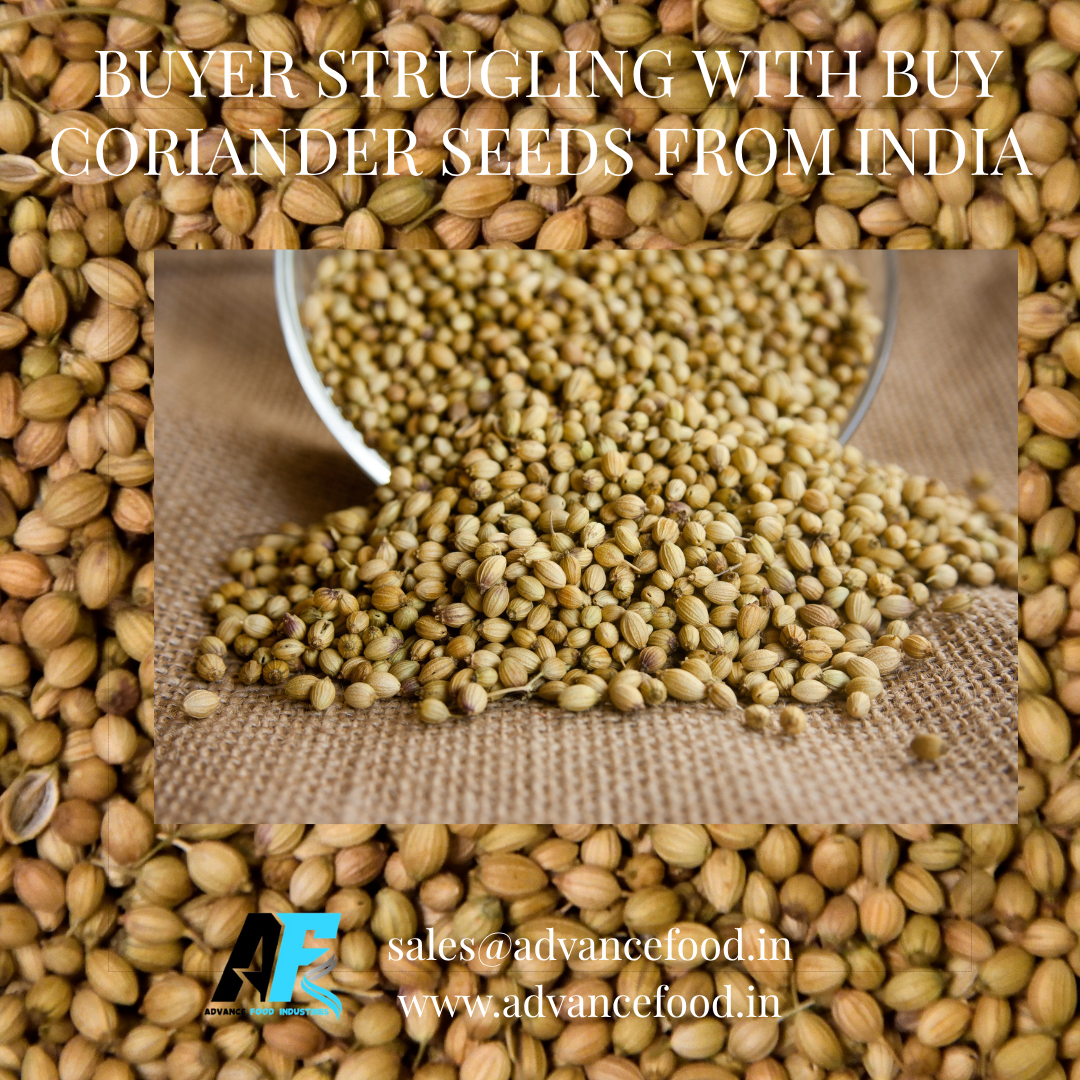 Buyer Strugling with Buy Coriander Seeds from india