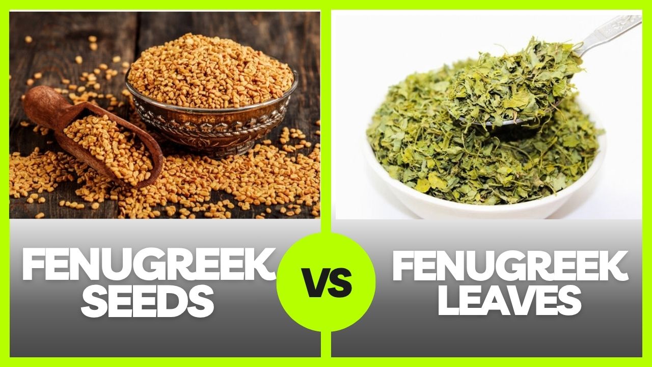 Fenugreek Seeds vs Fenugreek Leaves : Two Products,Two Markets