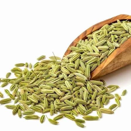 High-Quality Fennel Seed Supplier in India