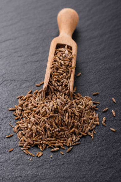 How to Choose the Best Cumin Seeds Supplier in India ?