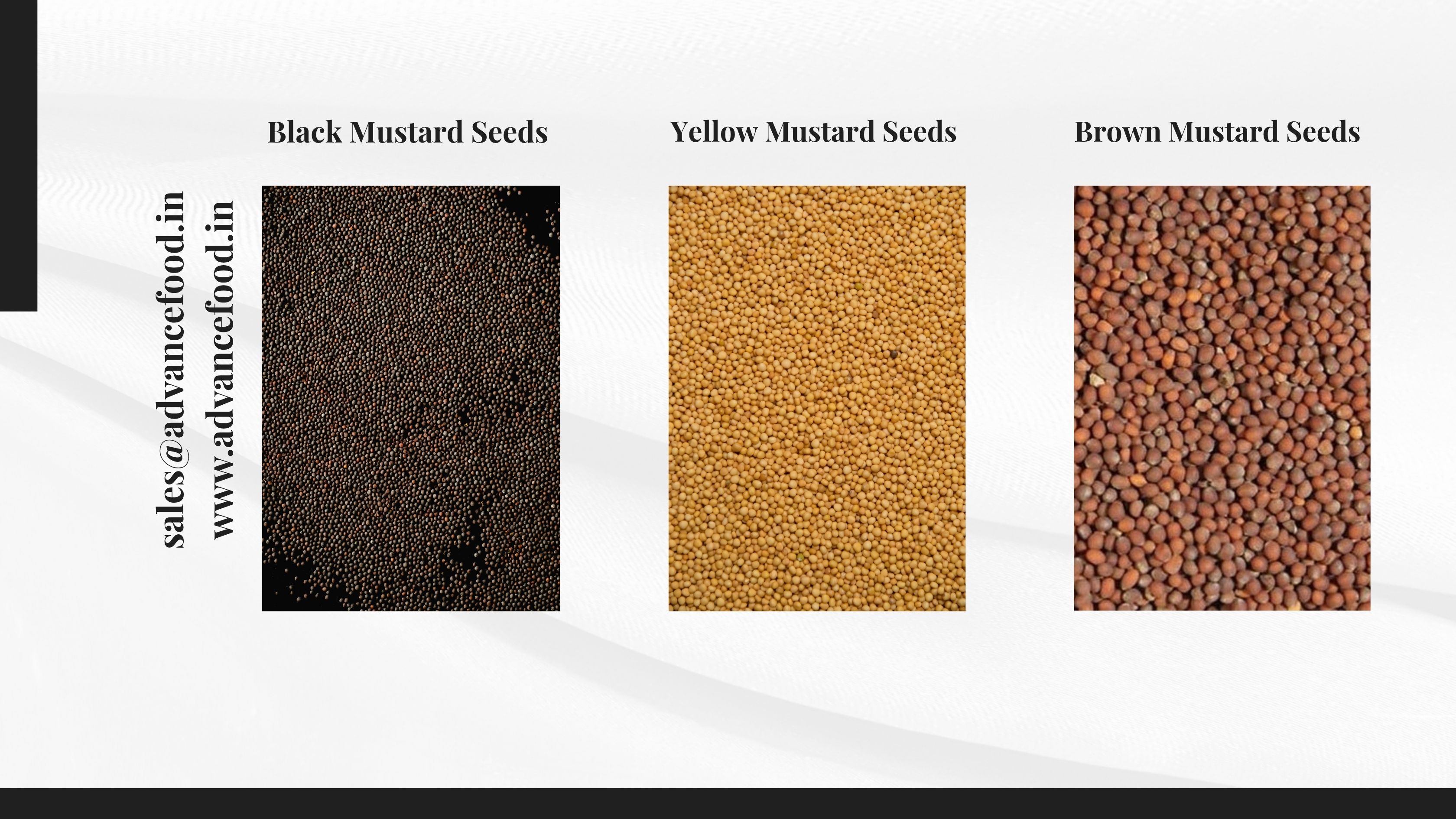 Mustard Seeds for Export : Quality Parameters International Buyers Check