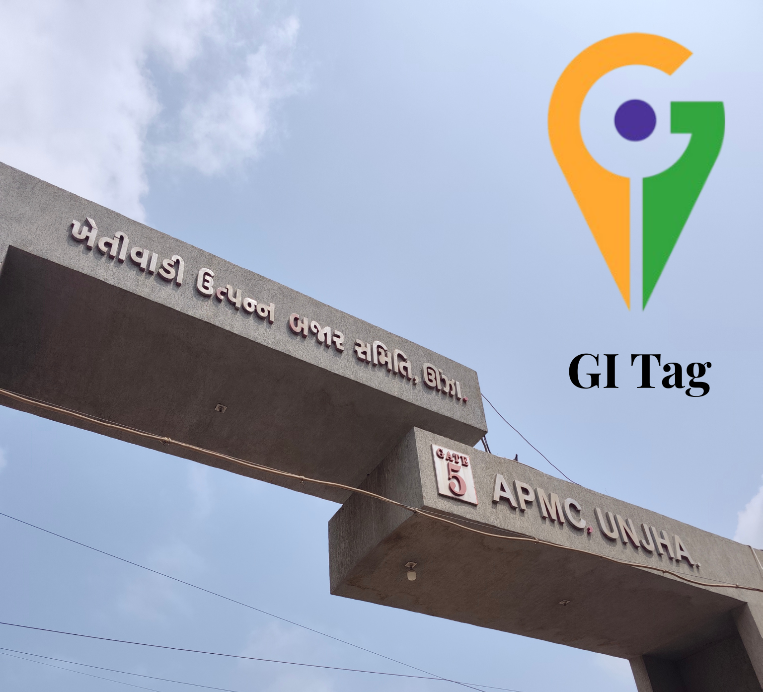 Unjha cumin Seed and fennel Seed receive the Geographical Indication(GI)Tag.